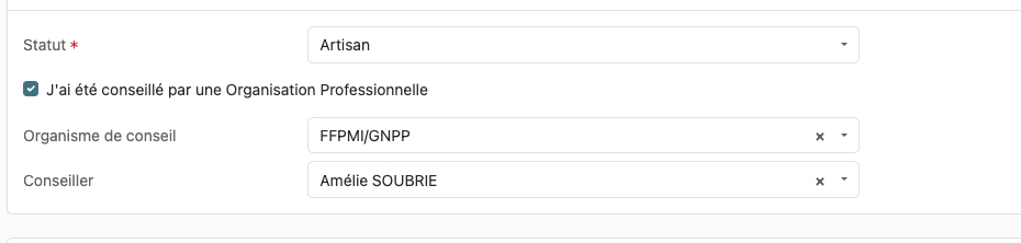 comment cela se présente lors de votre saisie en ligne