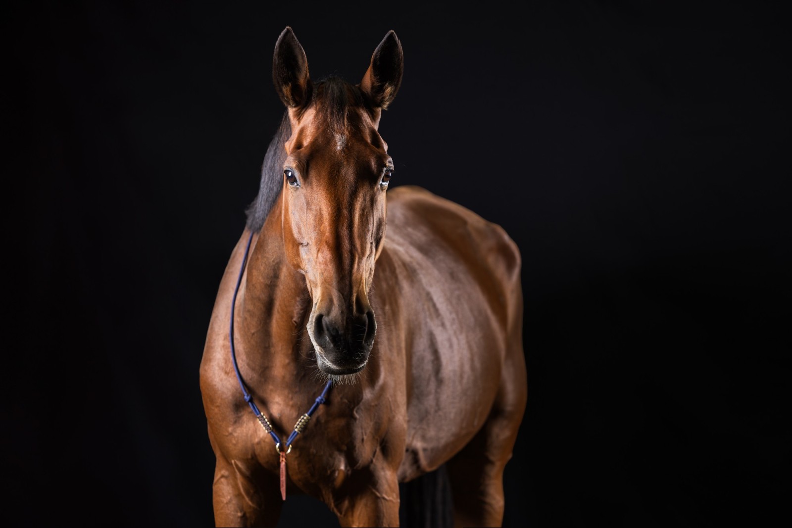 helene-caraux c5c4798ccb58